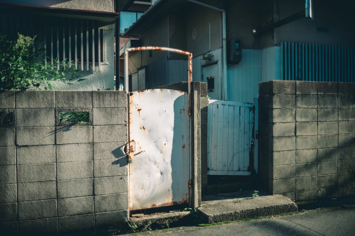 ペやんぐ(カメラ) tweet media
