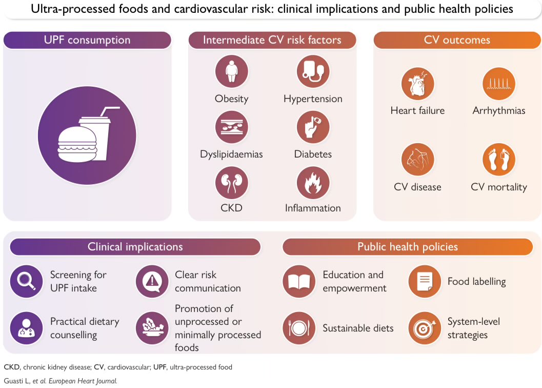SeguraCardio's tweet photo. 📌Ultra-processed foods, lifestyle management &amp; cardiovascular diseases

A clinical #consensus statement of the @escardio 

#PositionPaper #EHJ https://t.co/NrZBS4rAeG