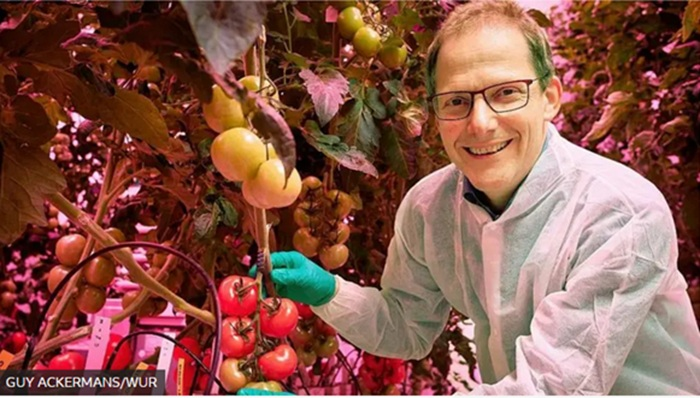 La  revolución tecnológica del «food valley»: cómo Países Bajos logró ser  el tercer exportador mundial de alimentos con un territorio tan pequeño
diariodeloeste.com.ar/la-revolucion-…