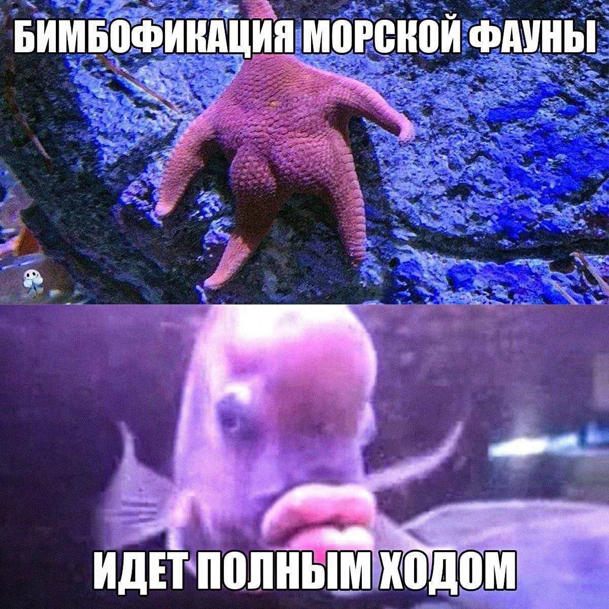 Дантес tweet media