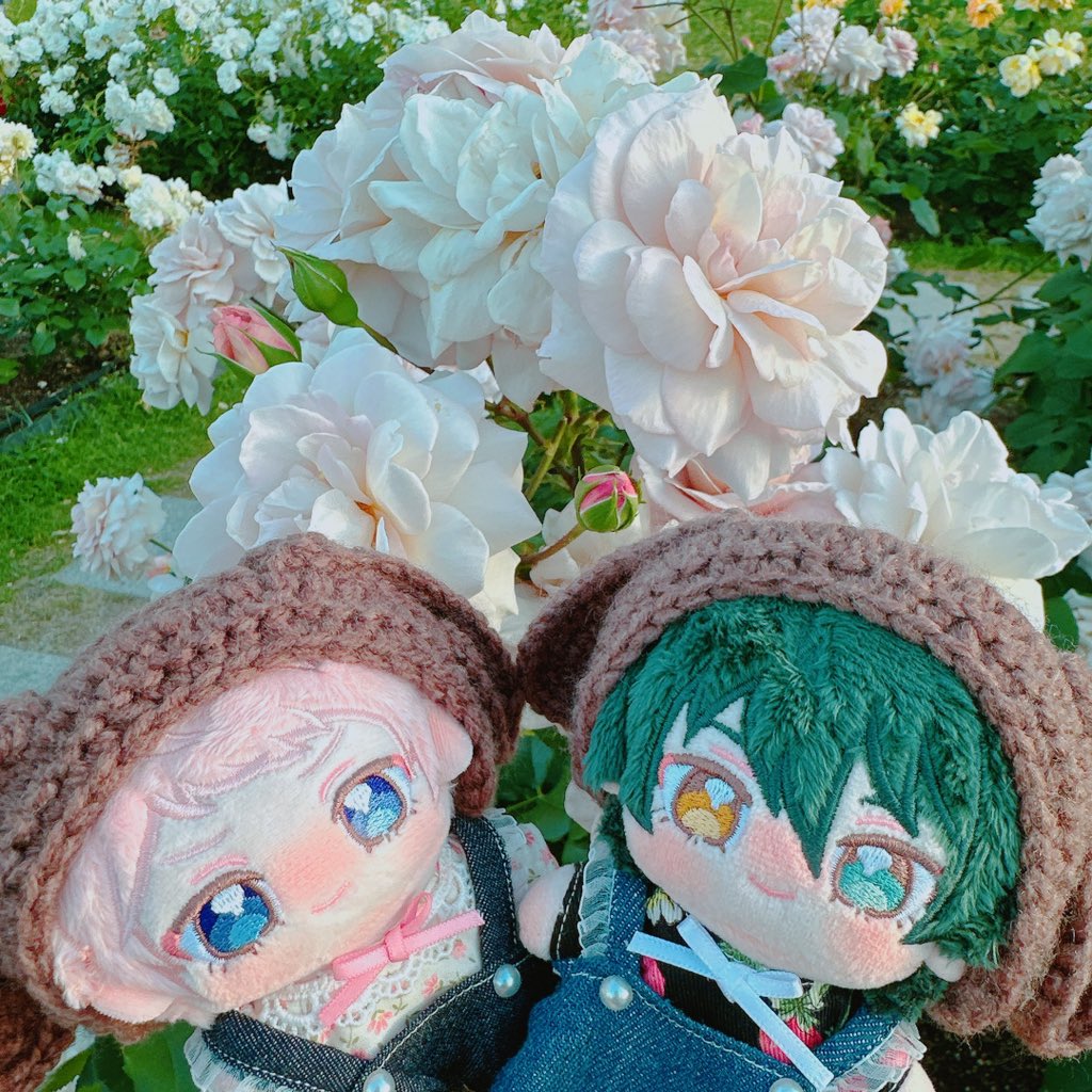 _enusan_'s tweet photo. 🌹 https://t.co/ydmK1RvNWU
