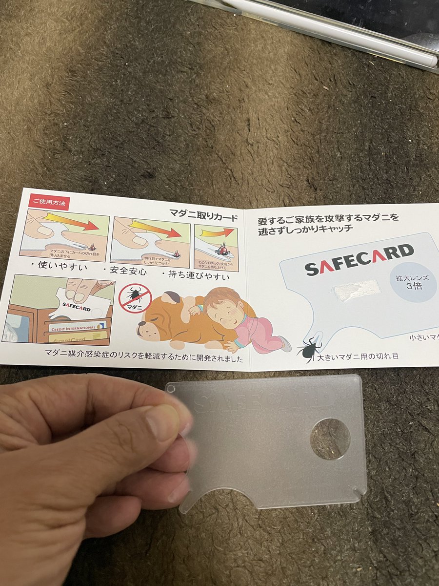 ようぞう tweet media