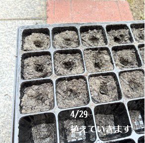 【公式】広島市郷土資料館 tweet media