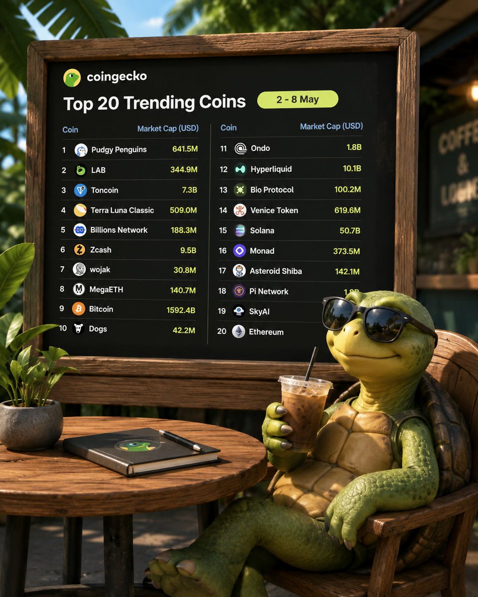 Üstad Splinter tweet media
