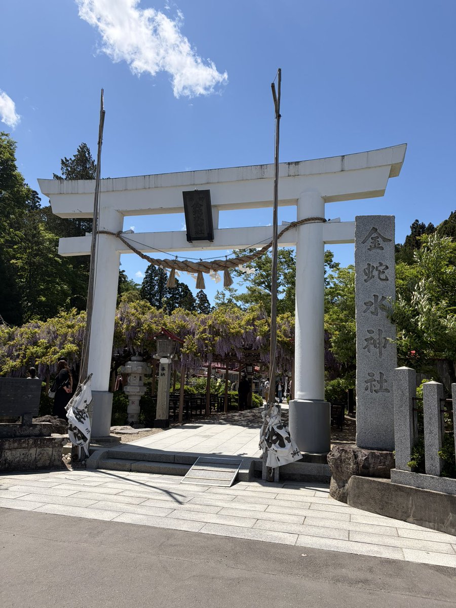tsukiash8's tweet photo. 神社⛩に行ったのか、花🌼を見に行ったのか https://t.co/OkEfJWcOwa