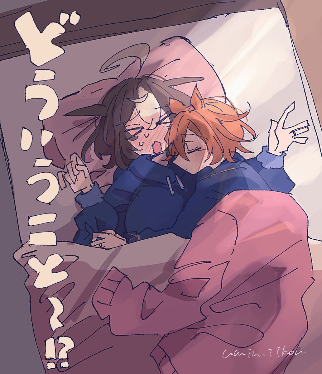 さめくん🦈 tweet media