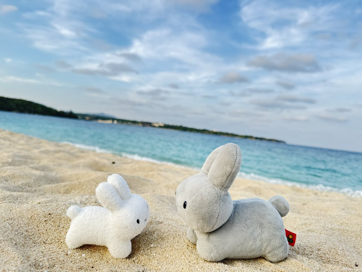 Post by *おふとん* on X: 夏 まだ？