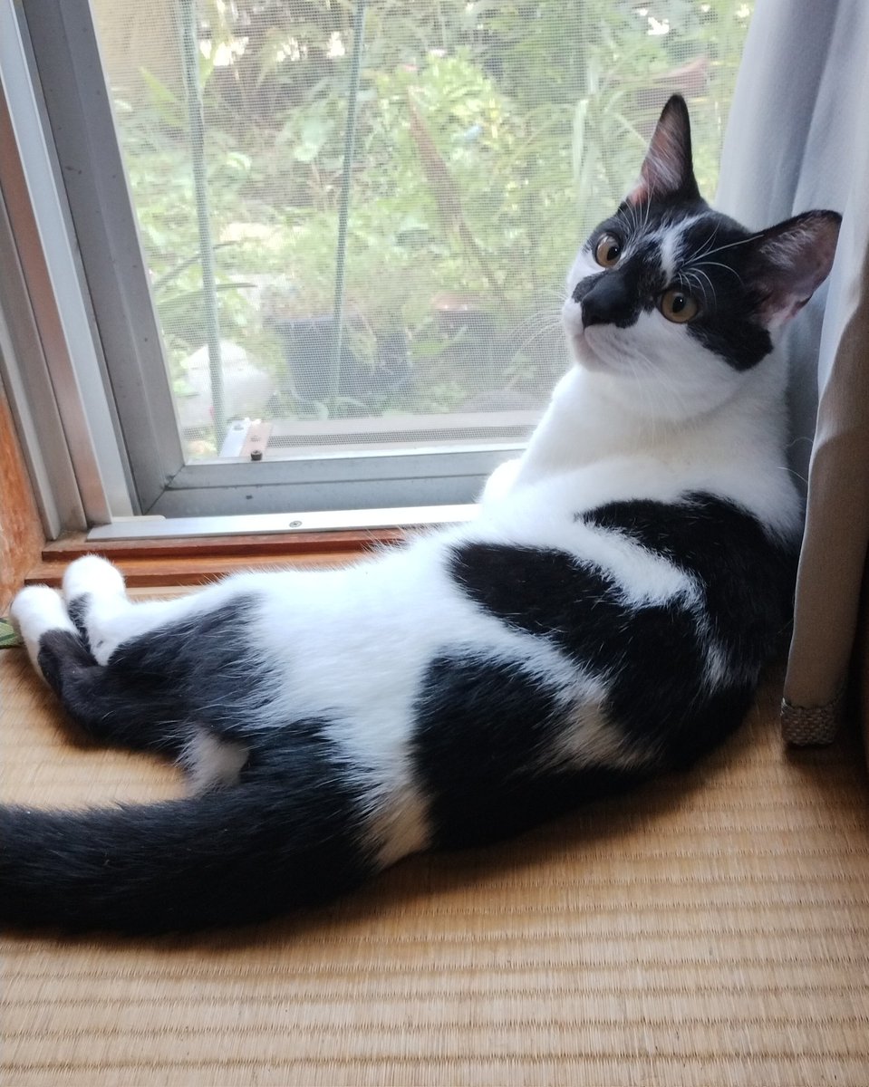penguinKIR's tweet photo. 動画かわいいねって笑顔でずっと見られるかなって思って動画だけに集中してちゃんと見てみた
けどすぐ泣いちゃったよね写真でも毎日何回も何枚も見てるけど集中してじっと見ると泣いちゃうのに
30歳位になると想像してたのに
これからもずっとそばにいるよずっと一緒にいようね https://t.co/o8zUezBi2h