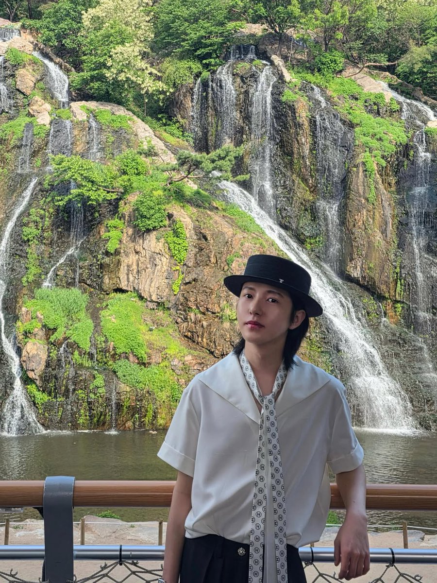 옐런 tweet media