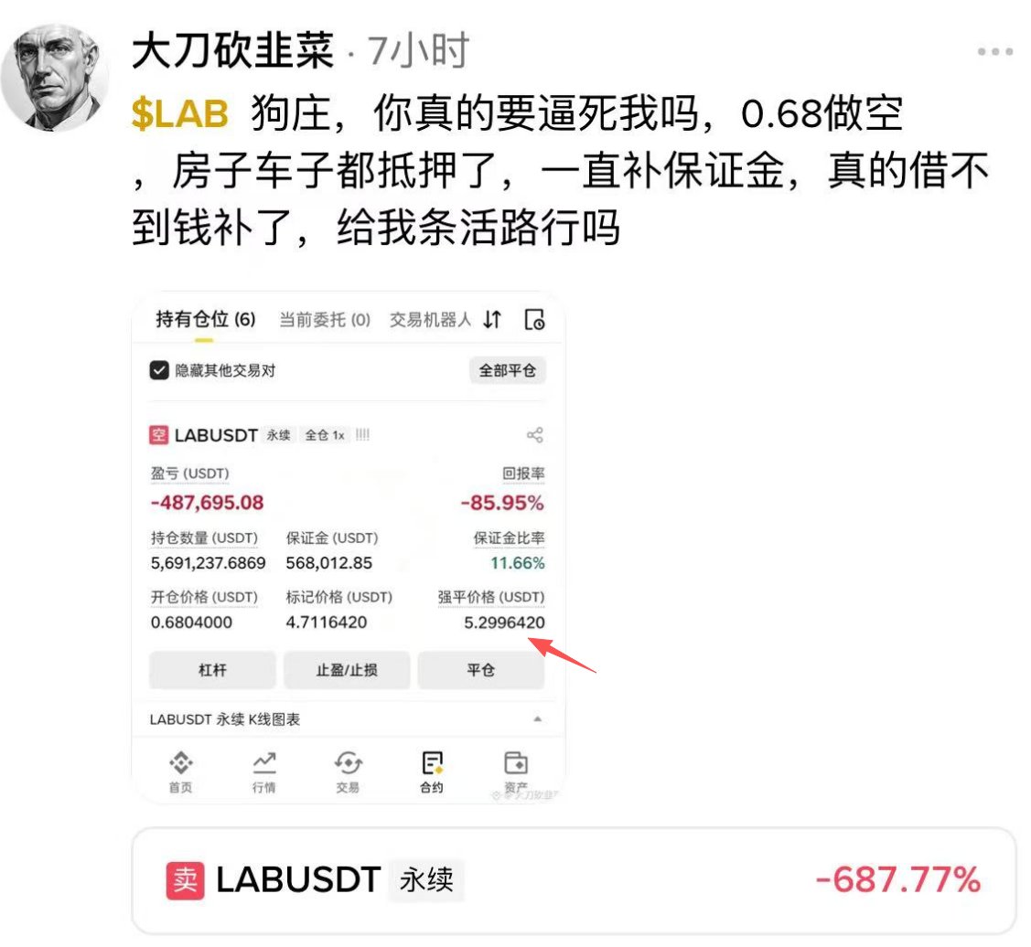龙猫·liaoblove tweet media