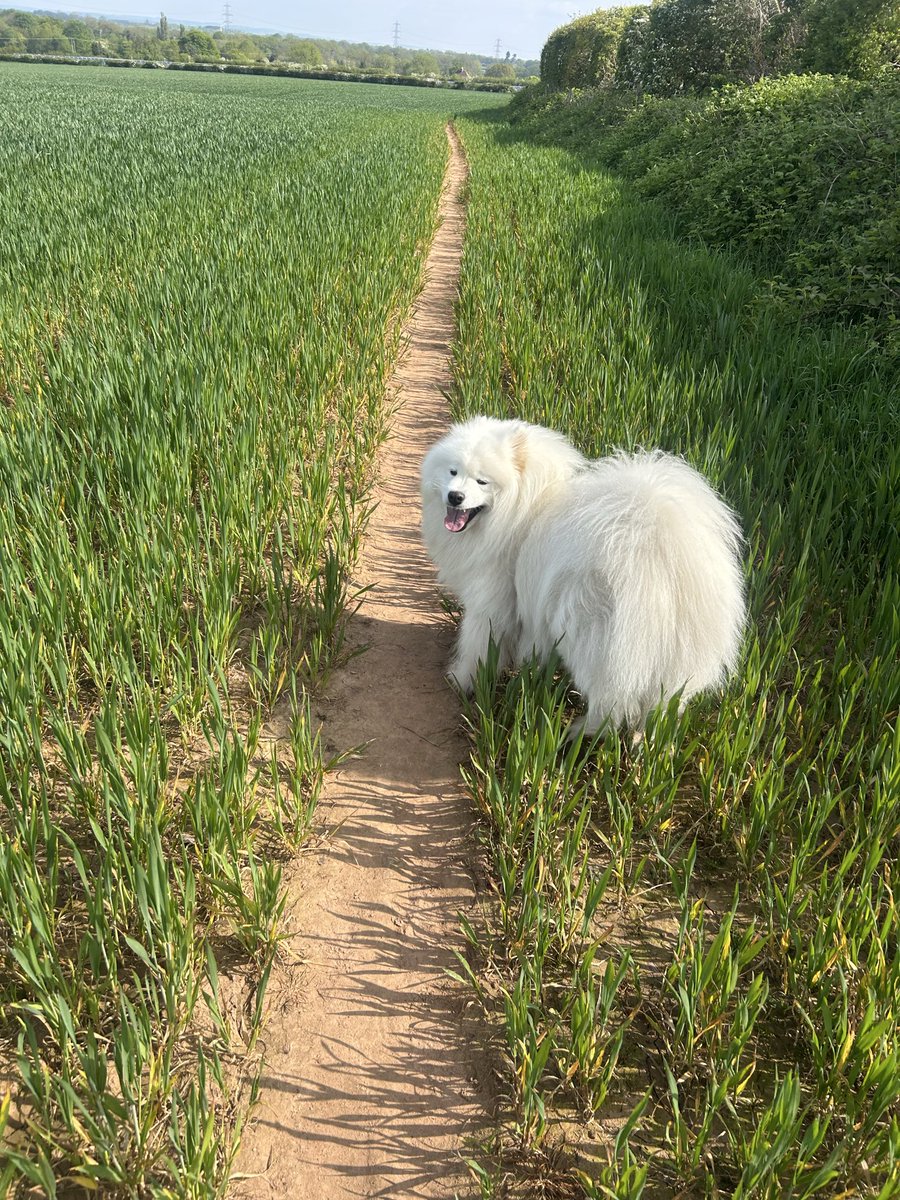 FreerJacqs's tweet photo. He likes the sun…… https://t.co/mte66i7Q6D