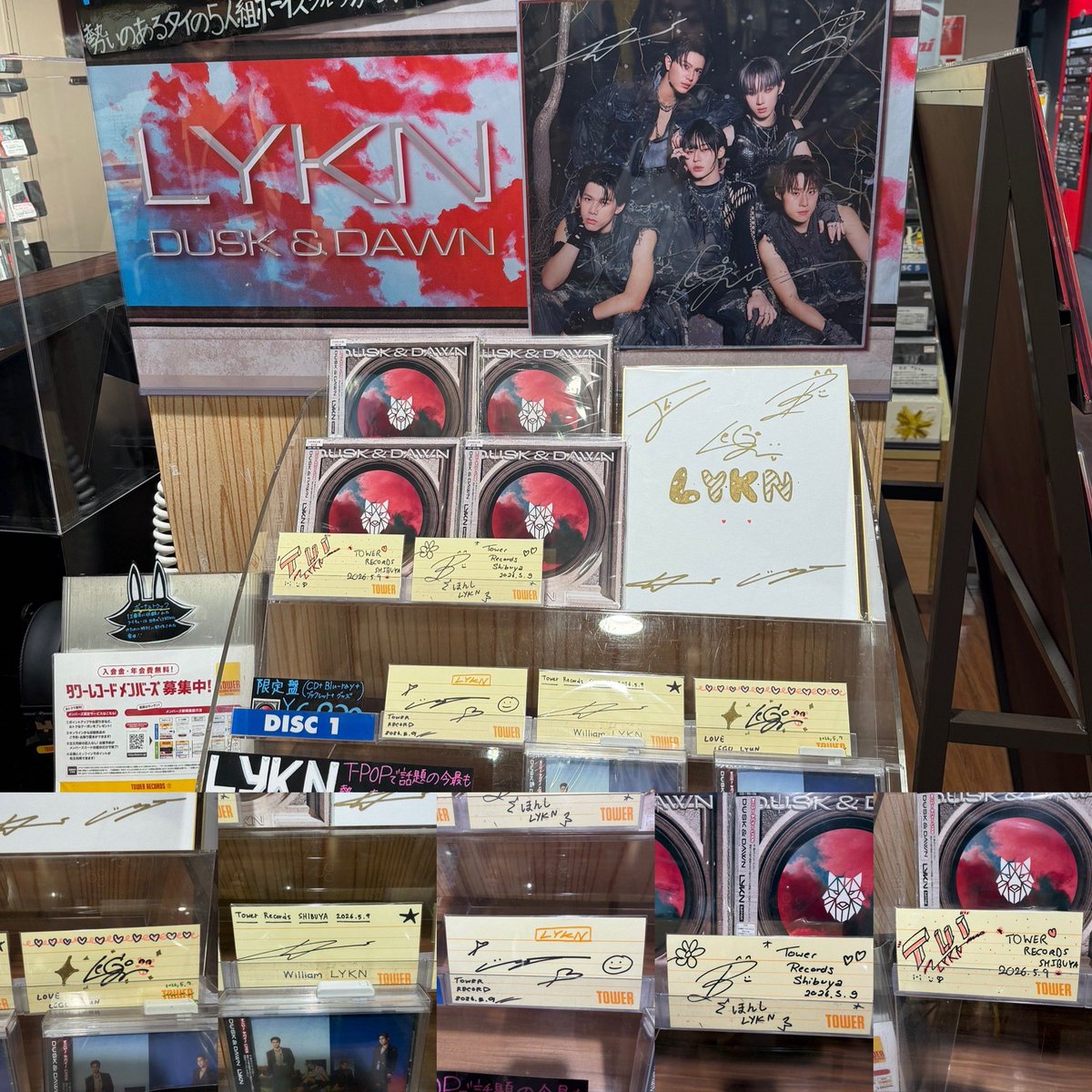 渋谷タワレコ✨
#タイフェス東京2026
#LYKN