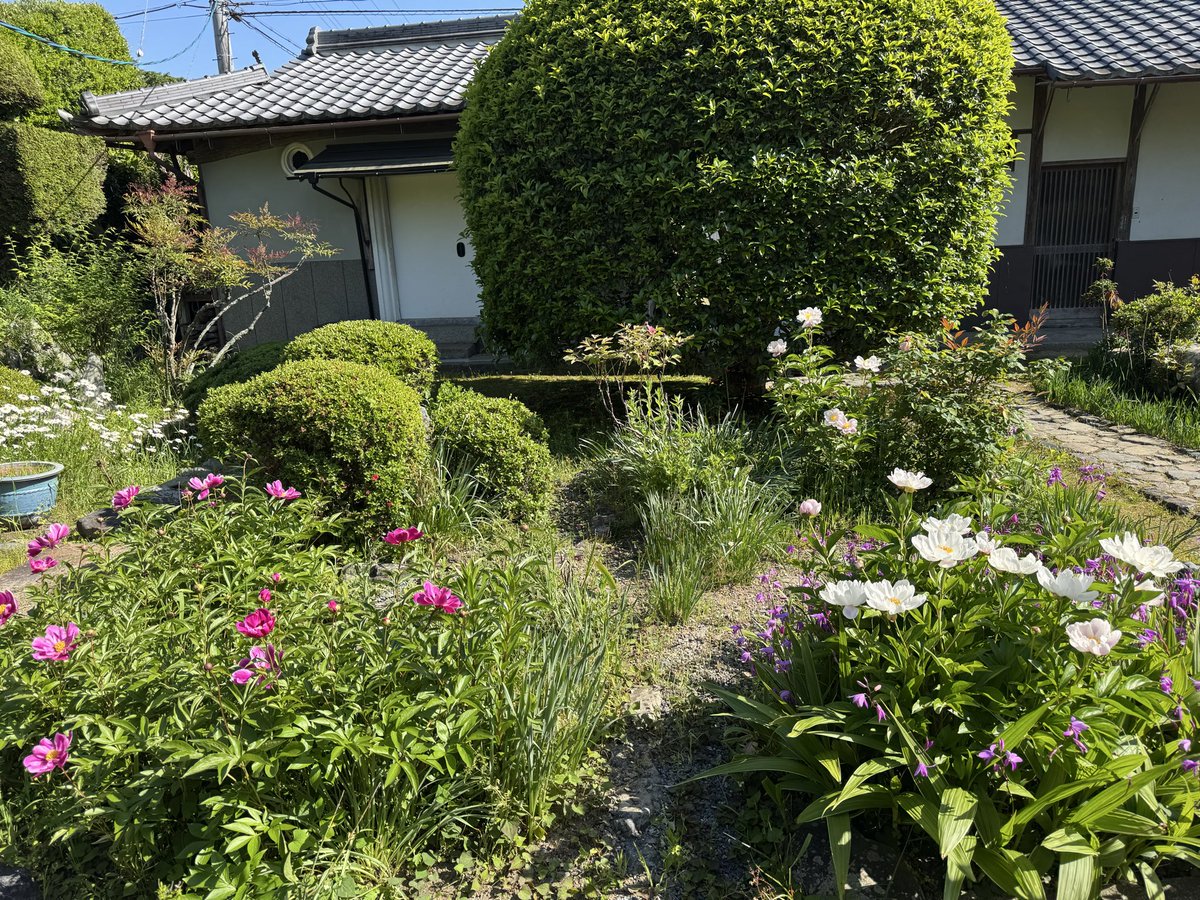花壇 主屋と門の間の花壇です。 祖母がまめに手入れをしてくれています。