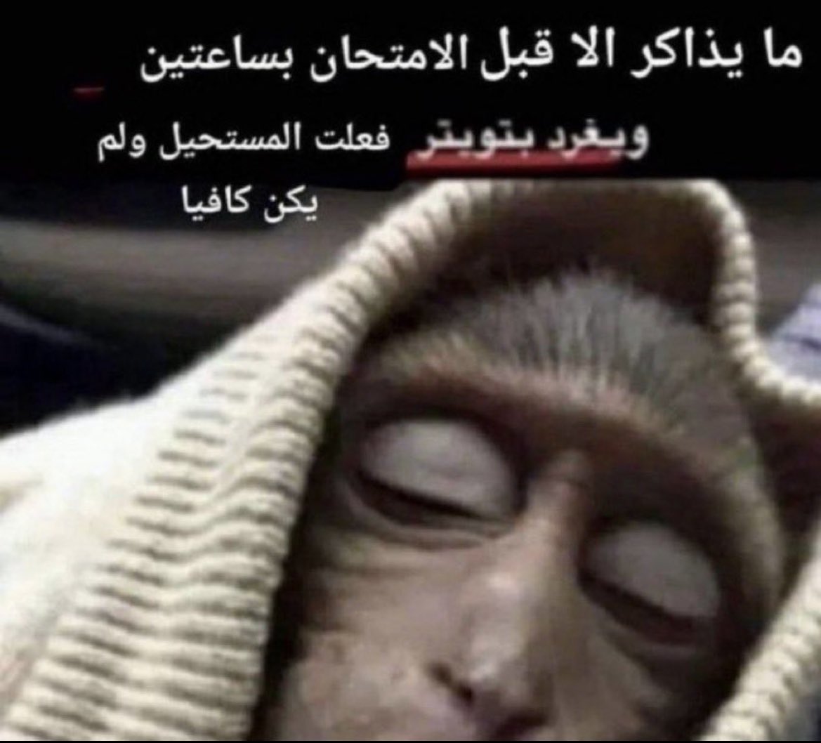 asmaa tweet media