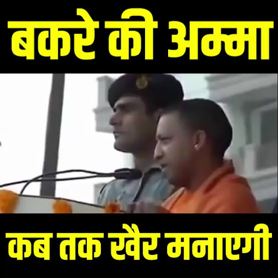 sahil tweet media