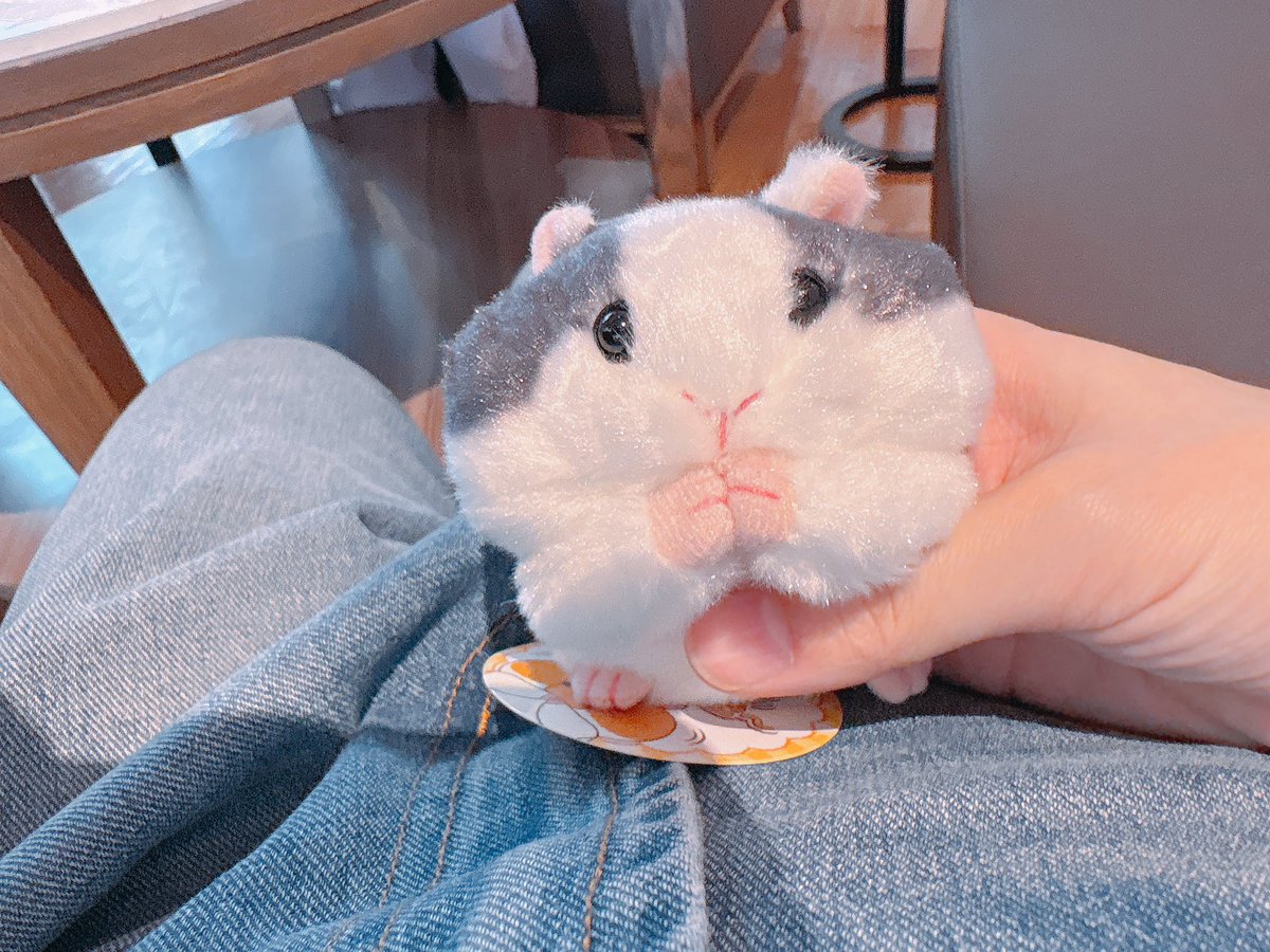 Post by ハムちゃん🐹 on X: どみなんとさん