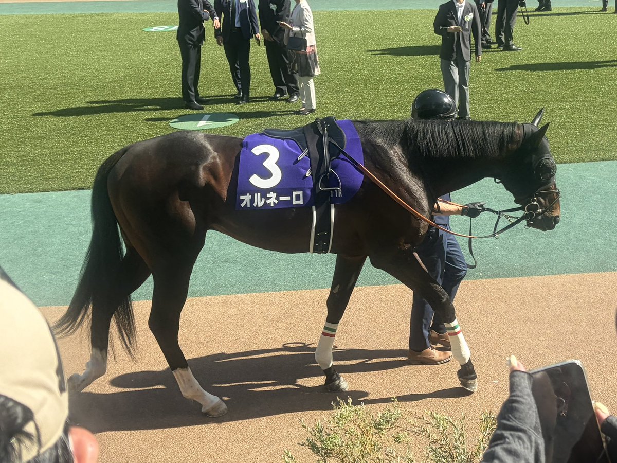 hk_0417's tweet photo. オルネーロ頑張れ！ https://t.co/FomL59vY1m