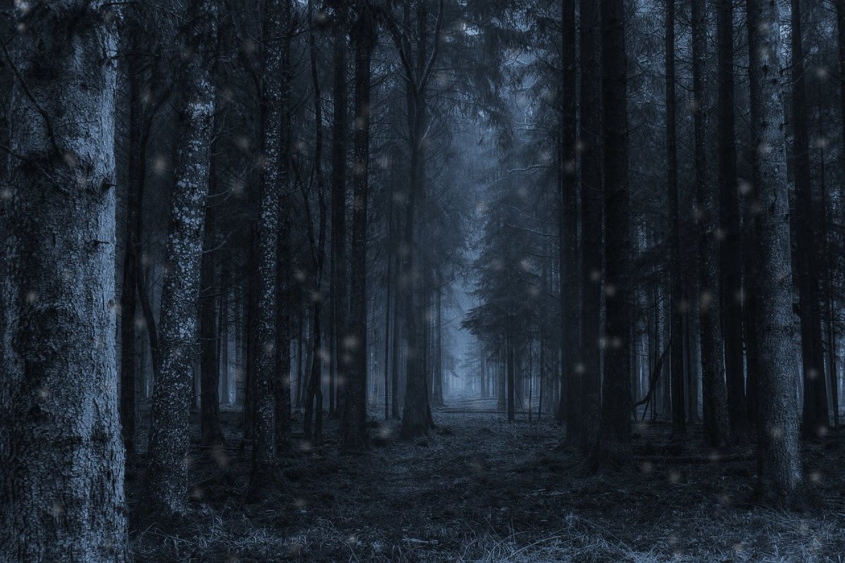 FALSEPR0PHECY's tweet photo. [OOT]

*[Muse], for whatever reason they have, is walking through the forest*

*it's cold, snowing, though not much to be dangerous* https://t.co/GTx51OfY4v