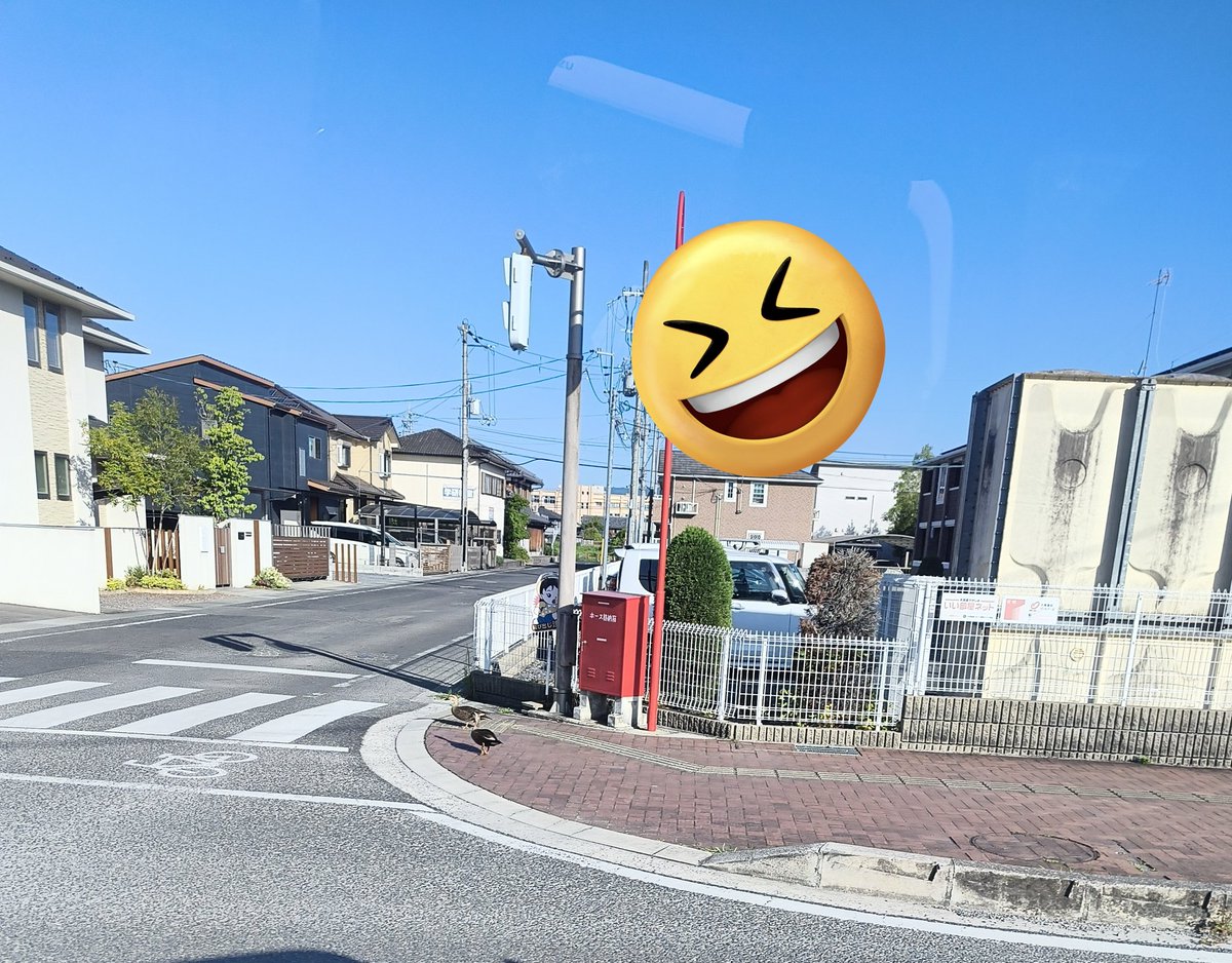 かずず tweet media