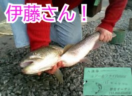 たくら@野良 tweet media