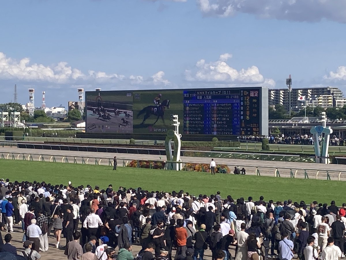 got_support's tweet photo. マイネルホウオウくんが誘導馬やってた！
すごいなー🐎 https://t.co/wbgePRI5iE