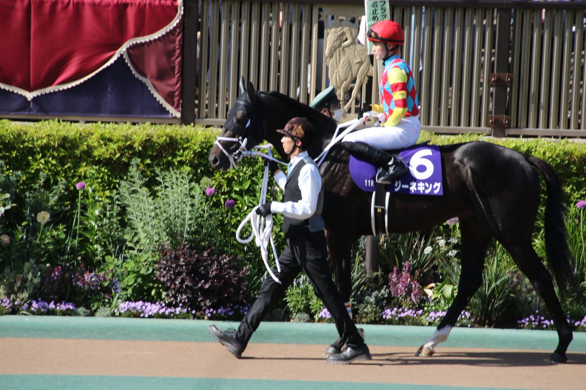 馬券的には瀬瀬さん所のジーネキングを個人的には期待したいコン
