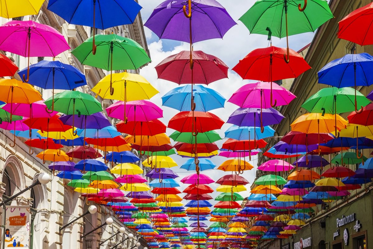 liliana_dorina's tweet photo. #Timișoara #Romania #streetphotography #streetwithumbrellas #may2026
📷#CanonEosRP 
Happy Sunday Friends ❤️ https://t.co/zJRZwy99KA