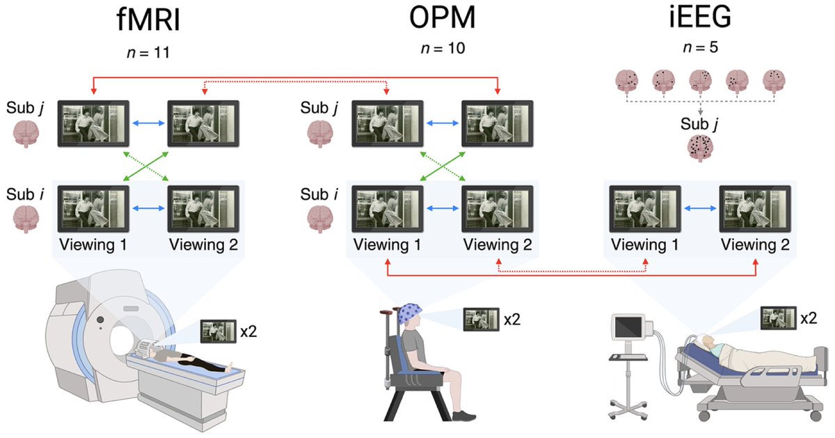 Imaging Neuroscience tweet media