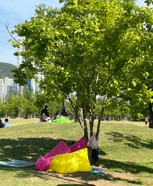 핑구돌이 tweet media