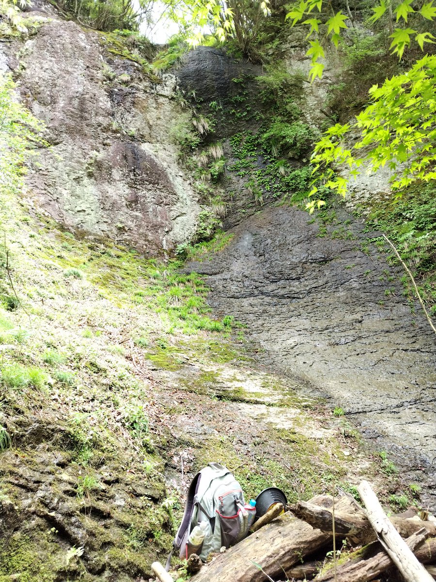 Kusuhashi Lab 楠橋研究室 (愛媛大学) tweet media