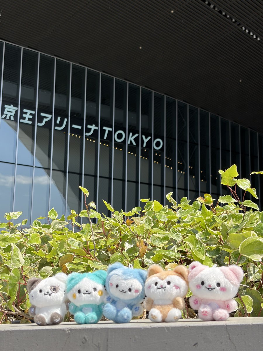 ITZY JAPAN OFFICIAL tweet media