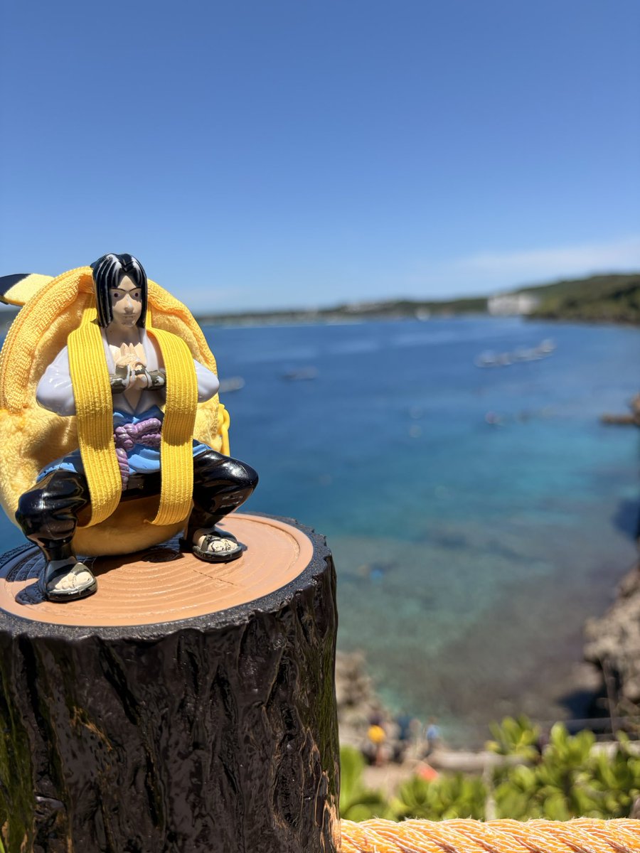 一緒に旅する友達 tweet media