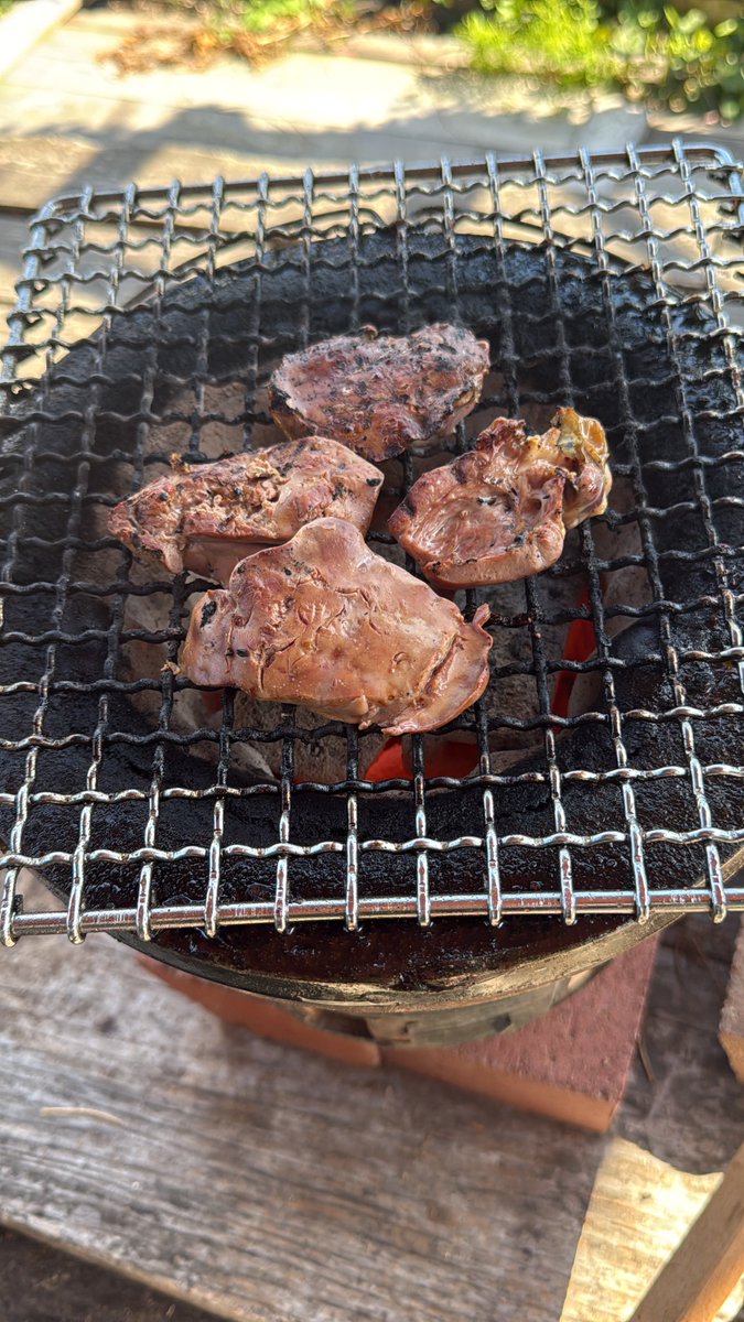 Mta4S's tweet photo. レバーがやめられない！ https://t.co/ivlD2OI3UM