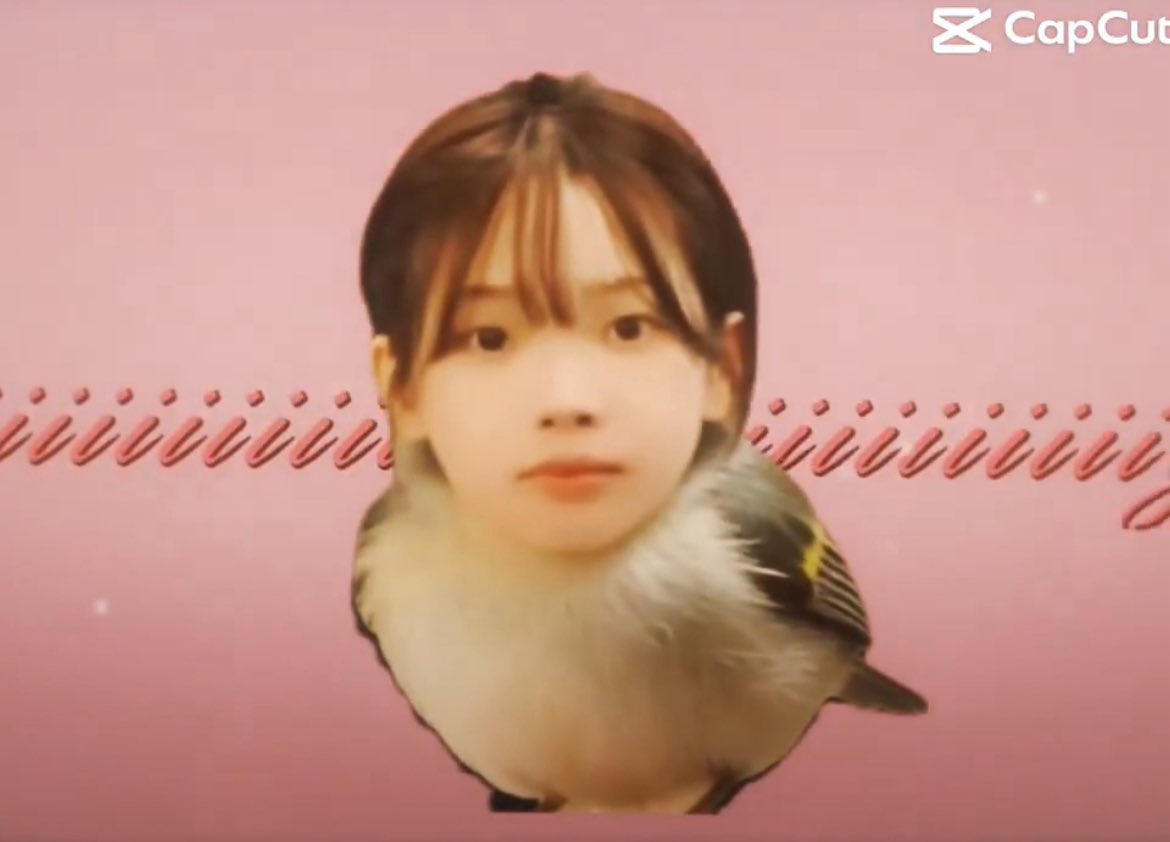 synkbone's tweet photo. need to know karina’s honest opinion on this karina bird trend https://t.co/MUFxFNiJa2