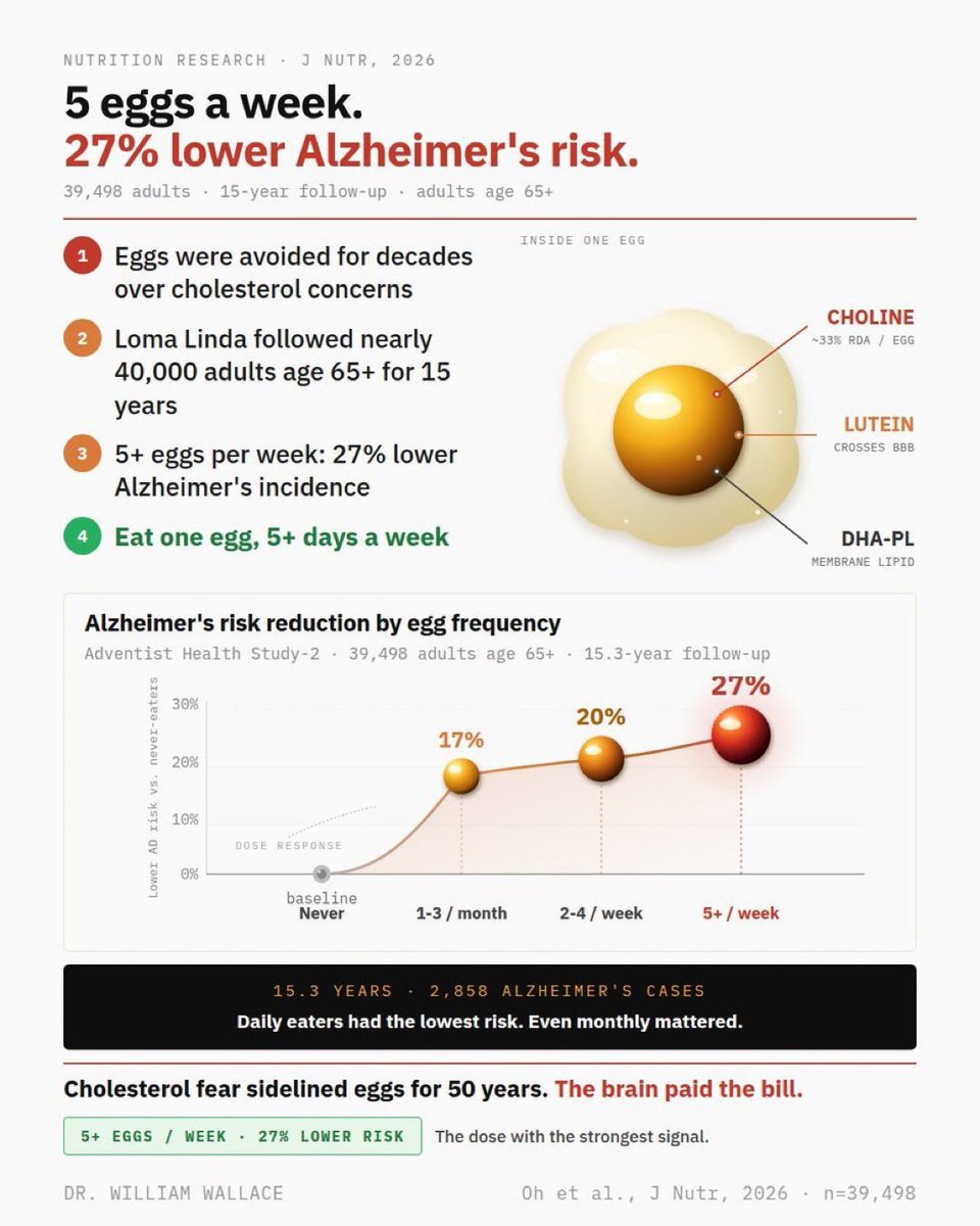 Alzheimer’a karşı korunmak isteyen bol bol  yumurta yesin. 
Loma Linda Üniversitesi’nin 39.498 kişiyi 15 yıldan uzun süre izlediği devasa araştırmaya göre, haftada 5 veya daha fazla yumurta tüketen 65 yaş üstü yetişkinlerde Alzheimer riski, hiç yemeyenlere kıyasla %27 daha düşük.