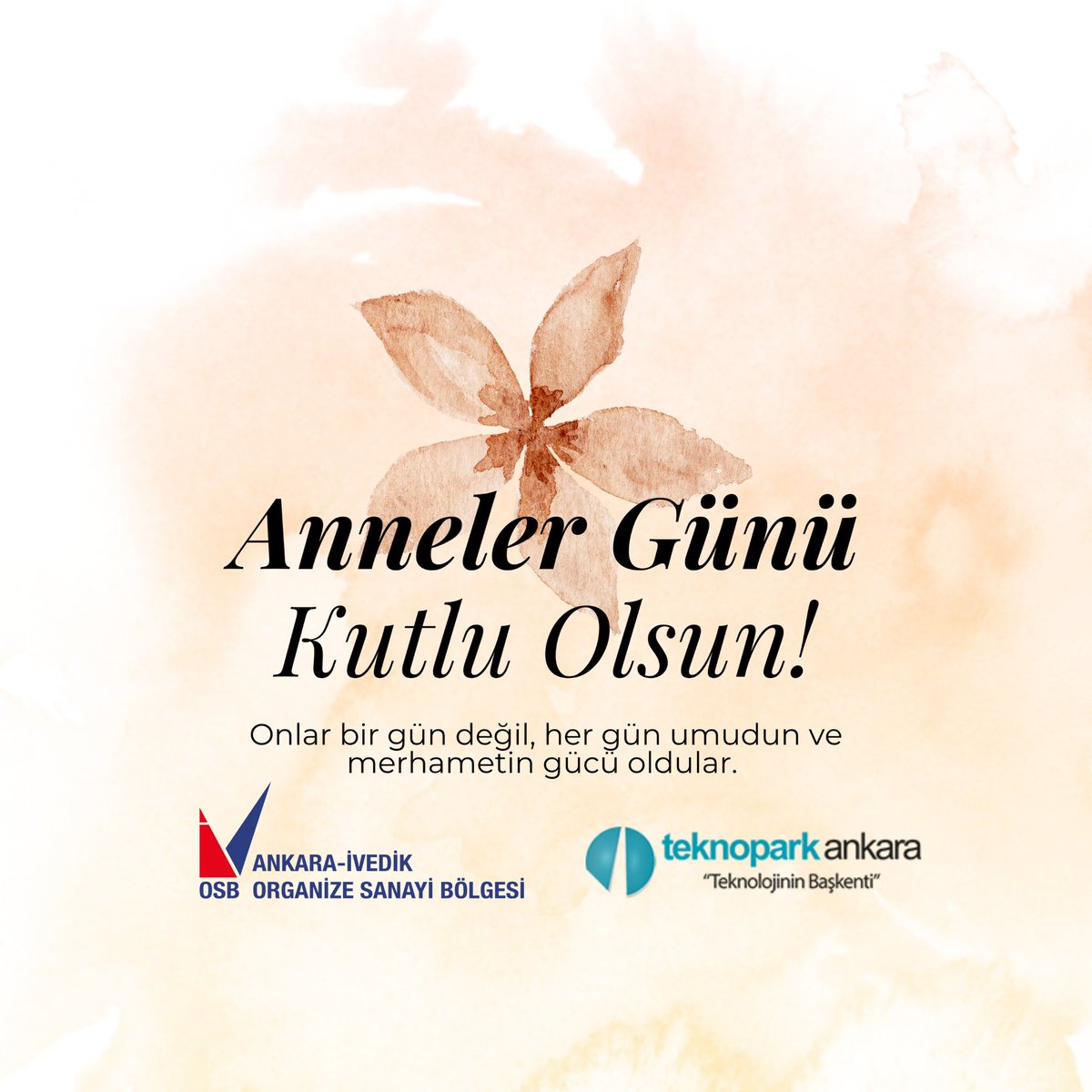 İvedik OSB tweet media