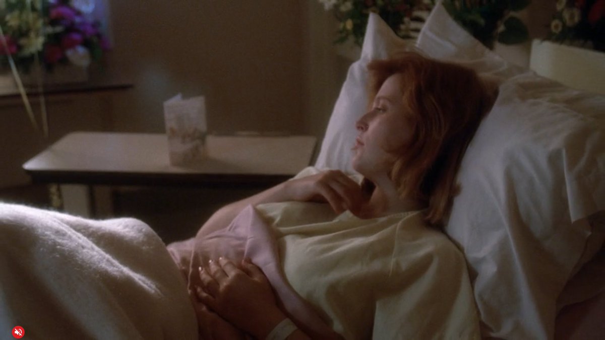Film Screenshots tweet media