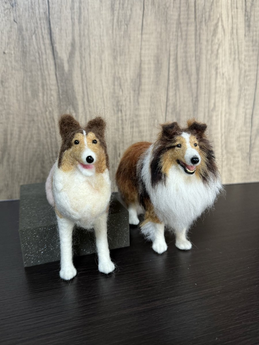 見本品 羊毛フェルトシェルティ 羊毛フェルト／シェルティ （アトムくん） Shetland Sheepdog アトム