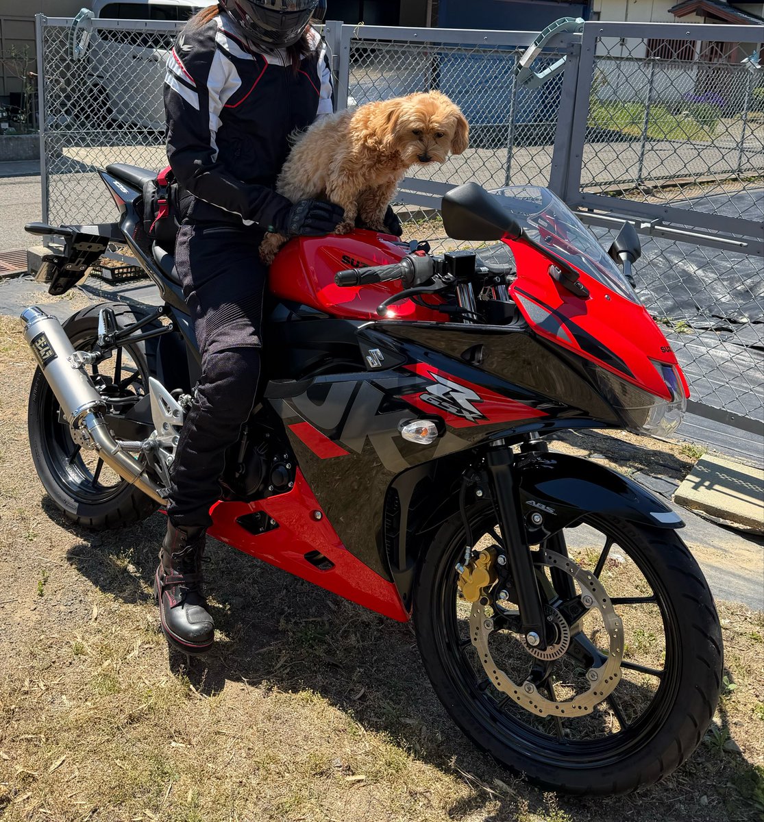manachonBike's tweet photo. 無事納車されました🫶 https://t.co/qoCKRyJot8