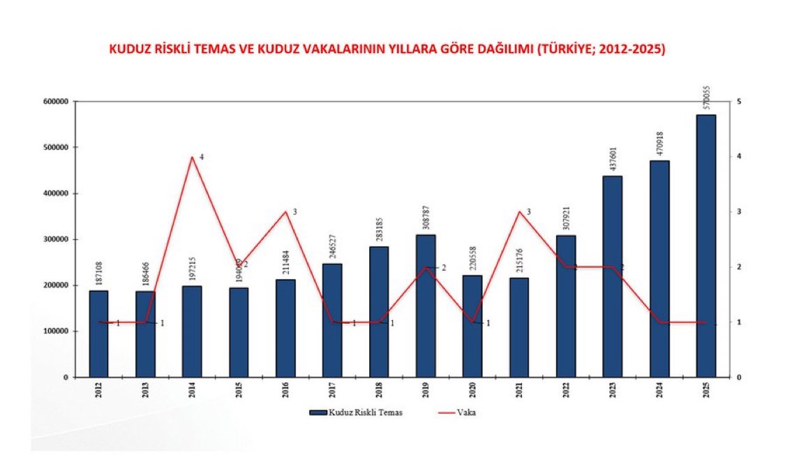 Selâmi Haktan tweet media