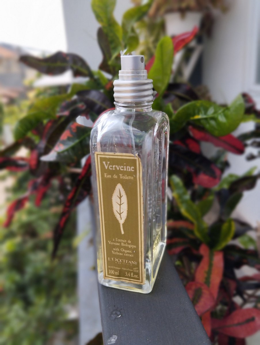 georgalaxy's tweet photo. Ok, aku memang belum pernah sniff Hermes un jardin sur le nil 😬👌🏻
But this L’Occitane verveine verbena really does smell super fresh, citrusy, tangy, and green.
#sniffsniff https://t.co/NYyYcEUh8l