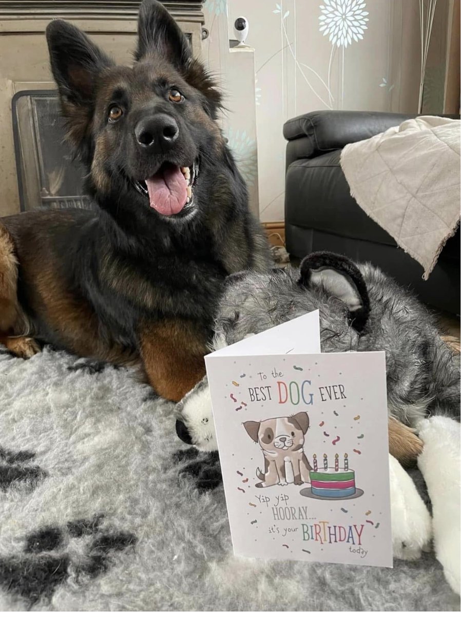 Nicki Llenruf 🐕🐾🐾👮🏻♀️- #PuppyWalker+Proud tweet media