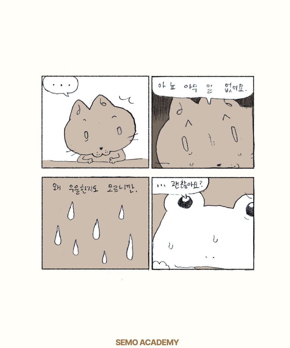 세모 아카데미 tweet media
