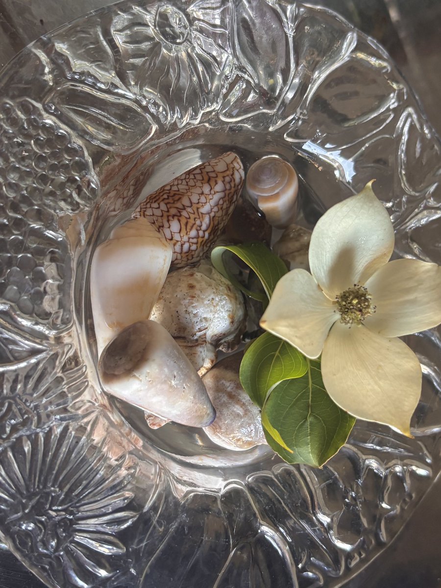 薫画伯（Kaoru Hashimoto） (@kaorun24hashi) / Posts / X