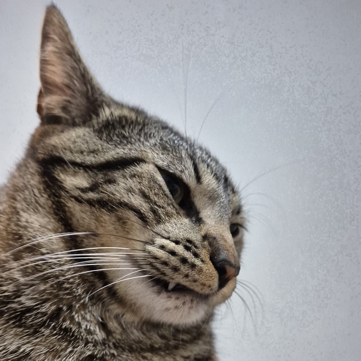 mushurri's tweet photo. Por favor, me deem um pouco de amor🥺 https://t.co/pMdmCuVyfB