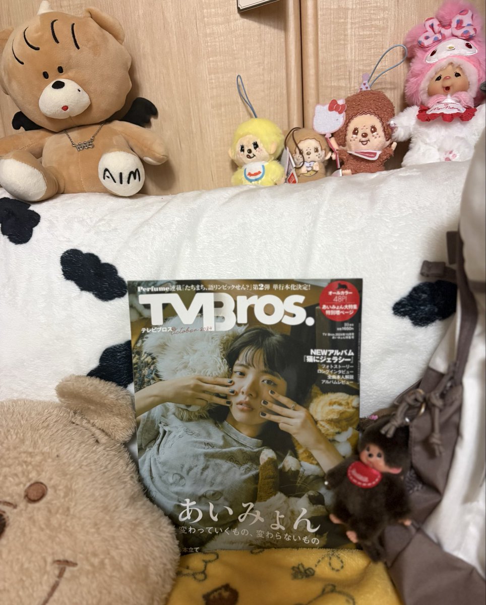 とうとう我が家にも ミニあくまちゃんがきたよ🥹 めっちゃ並べても