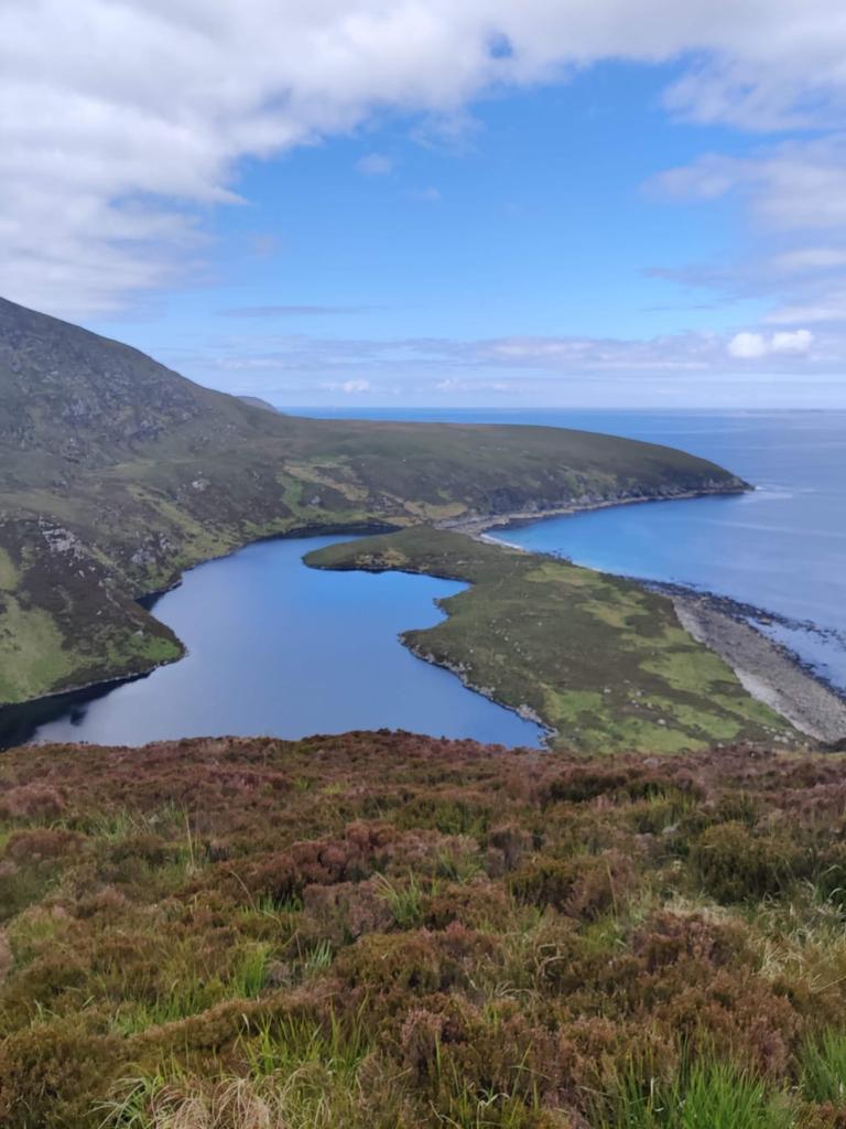 Achillsights tweet picture