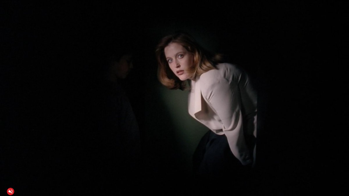 Film Screenshots tweet media