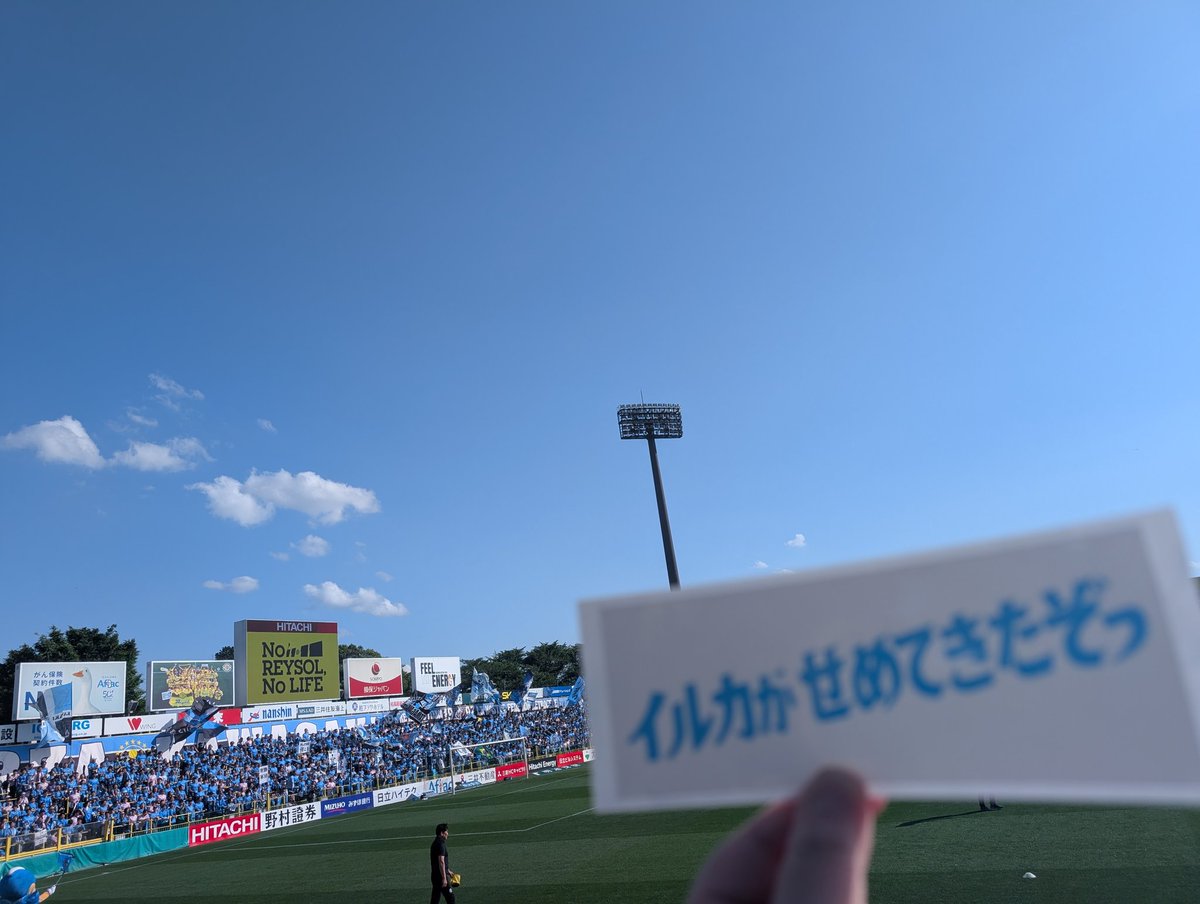 まいまい tweet media