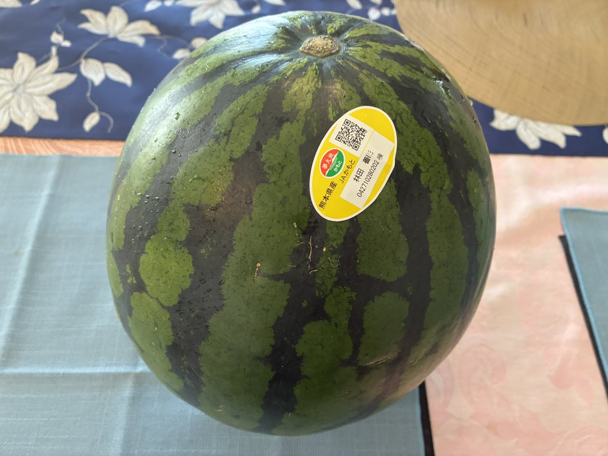 バカデカスイカ買ってきた🍉